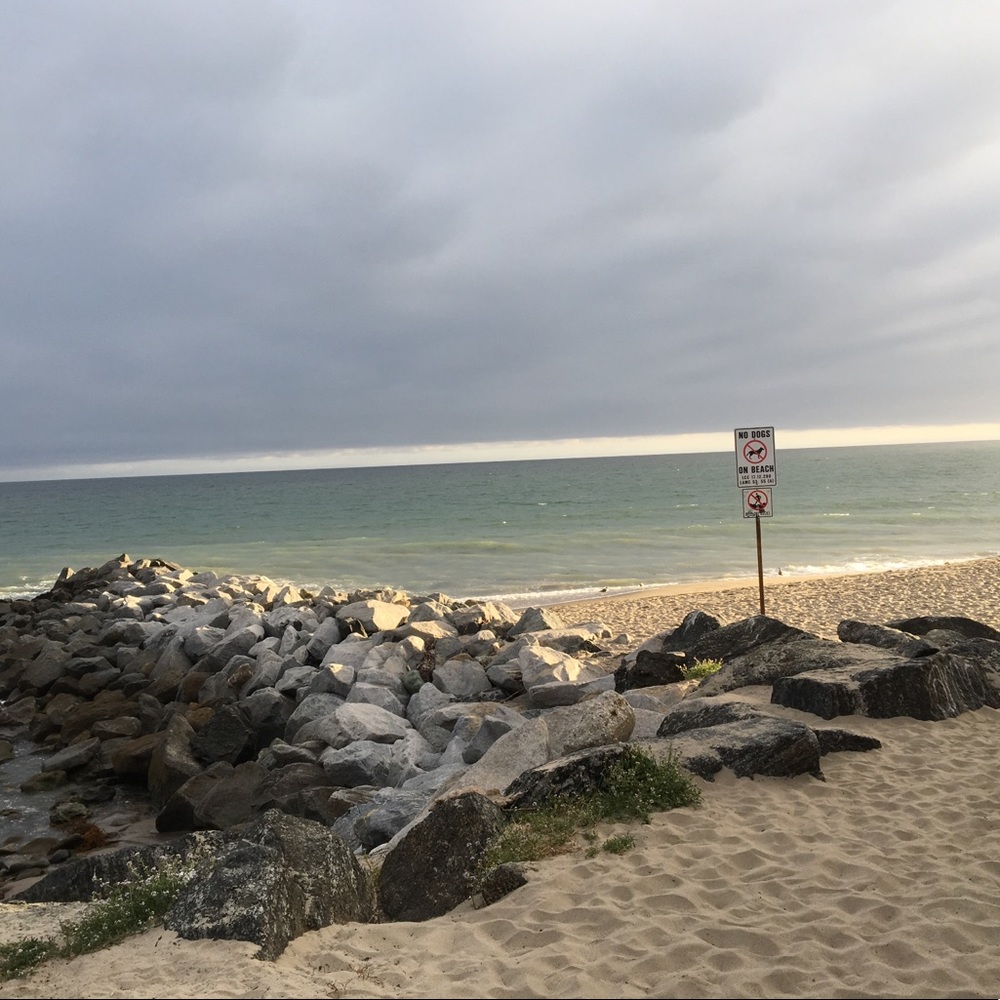 Meet your Posher, Mia